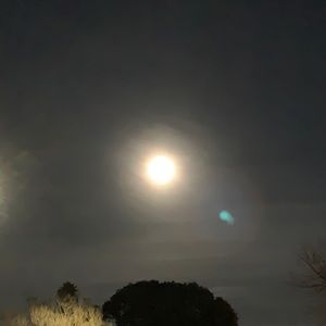 Meet your Posher, Kelley